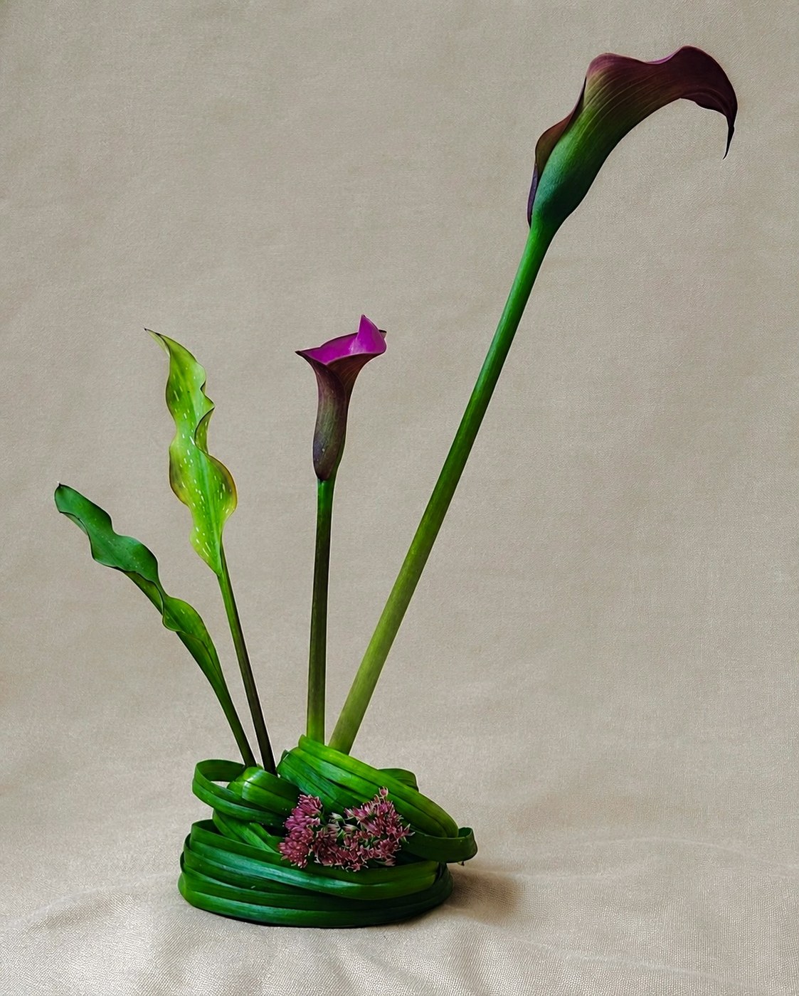 A low coil of looped strap leaves holding two calla lilies and a single sedum head, against unbleached cloth.