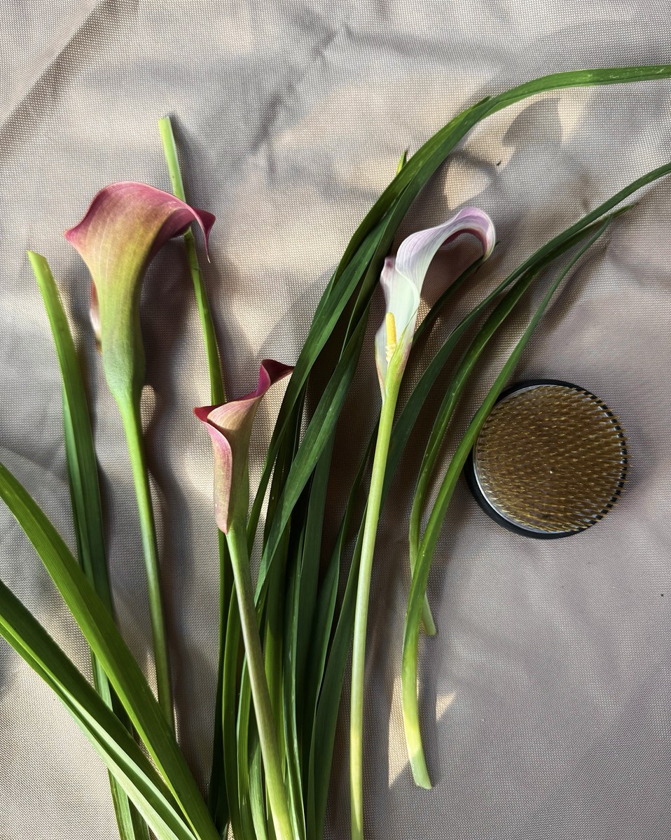 Cut strap leaves and three calla lilies laid out in hard afternoon light, the kenzan beside them.